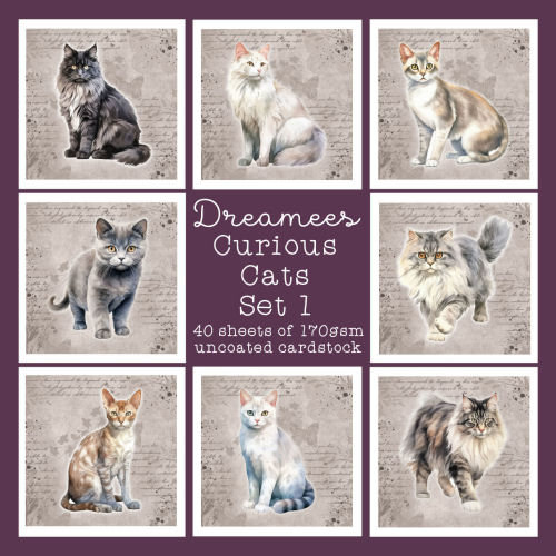 Curious Cats (Set 1) Image Pad